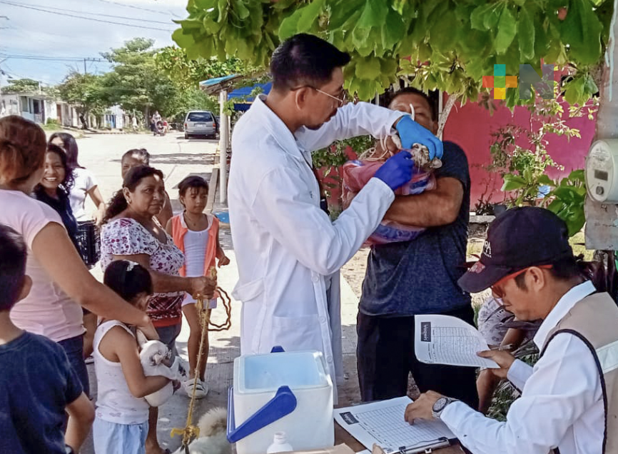 Gran Vacunatón se desarrolla en el municipio de Coatzacoalcos